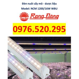 Đèn LED Nuôi Cấy Mô - Dược Liệu Rạng Đông Model: NCM 1200/16W WBU - Giải pháp chuyên dụng cho nông nghiệp và dược liệu