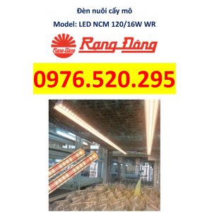 Đèn LED Nuôi Cấy Mô Rạng Đông Model: LED NCM 120/16W WR