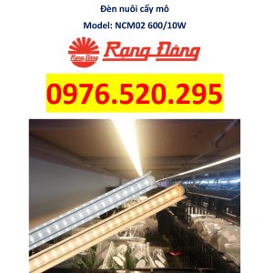 Đèn LED Nuôi Cấy Mô Rạng Đông Model: NCM02 600/10W - Giải pháp tiên tiến cho ngành nuôi cấy mô