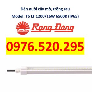 Đèn LED Nuôi Cấy Mô và Trồng Rau Rạng Đông Model: T5 LT 1200/16W 6500K (IP65)