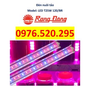 Đèn LED Nuôi Tảo Rạng Đông Model: LED T25W 120/BR