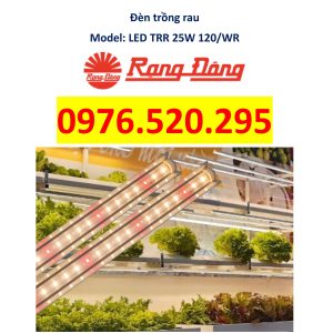 Đèn LED Trồng Rau Rạng Đông Model: LED TRR 25W 120/WR - Giải pháp tối ưu cho cây trồng