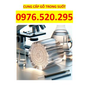 Gỗ Trong Suốt: Cách Mạng Trong Thiết Kế Kiến Trúc Hiện Đại