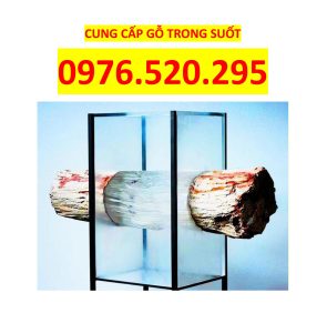 Gỗ trong suốt