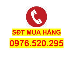 Gỗ trong suốt: Cơ hội đầu tư trong ngành công nghiệp vật liệu xanh