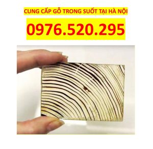 Introducing Our Company - Specialized in Manufacturing and Supplying Transparent Wood to the Global Market