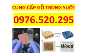Vậy gỗ trong suốt là gì? Nó có đặc điểm và ứng dụng ra sao? Trong bài viết này, chúng ta sẽ cùng tìm hiểu chi tiết về loại vật liệu đặc biệt này và giới thiệu về CÔNG TY TNHH ĐẦU TƯ PHÁT TRIỂN CÔNG NGHỆ CAO VÀ SẢN XUẤT GỖ TRONG SUỐT VIỆT THÁI