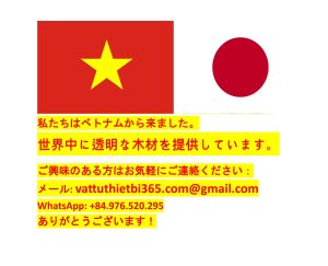 透明な木材：製造技術と動作原理
