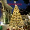 ĐÈN LED NÓN LÁ TRANG TRÍ THÀNH CÂY THÔNG NOEL DỊP GIÁNG SINH